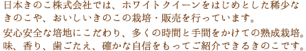 日本きのこ株式会社では、ホワイトクイーンをはじめとした稀少なきのこや、おいしいきのこの栽培・販売を行っています。安心安全な培地にこだわり、多くの時間と手間をかけての熟成栽培。味、香り、歯ごたえ、確かな自信をもってご紹介できるきのこです。