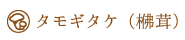 タモギタケ