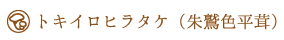 トキイロヒラタケ